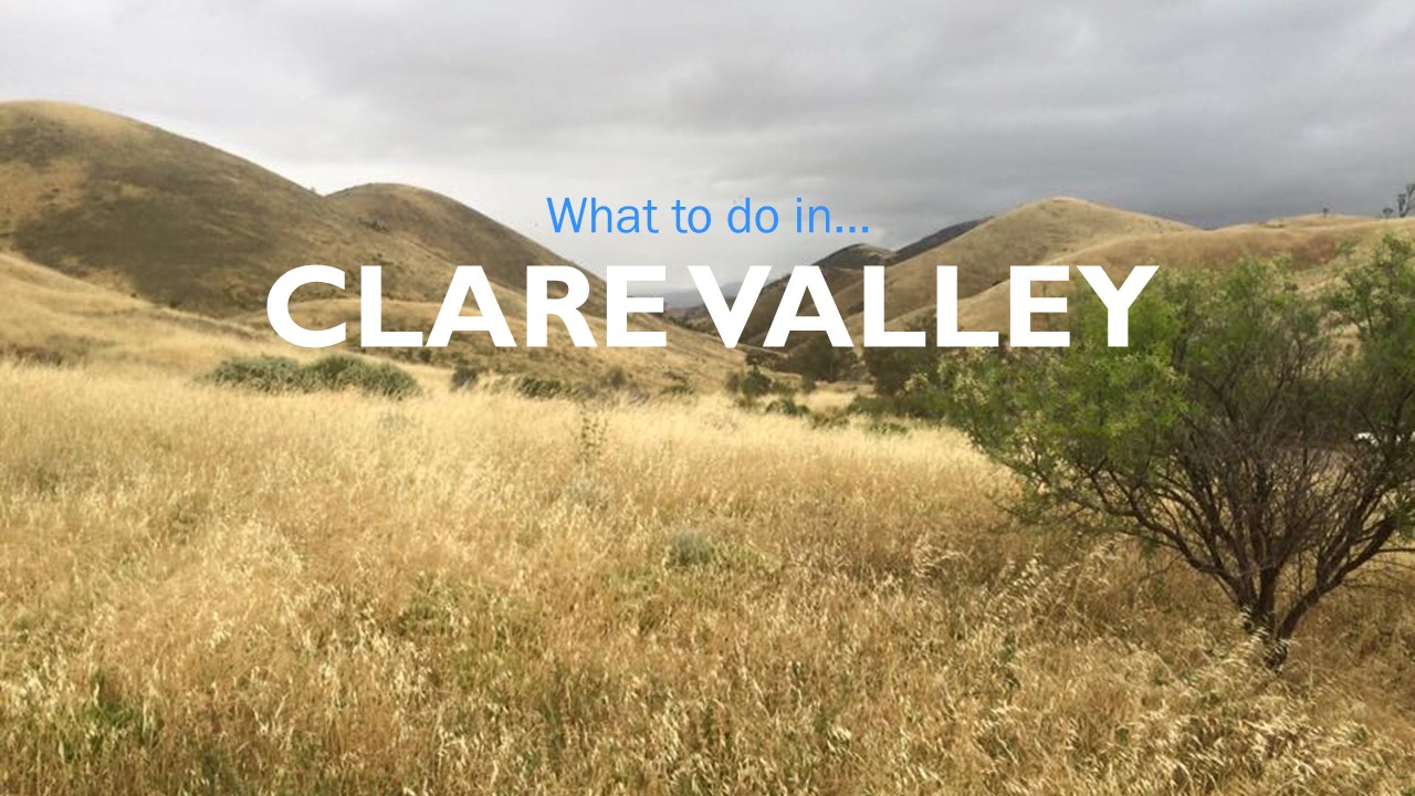 What to do in Clare Valley