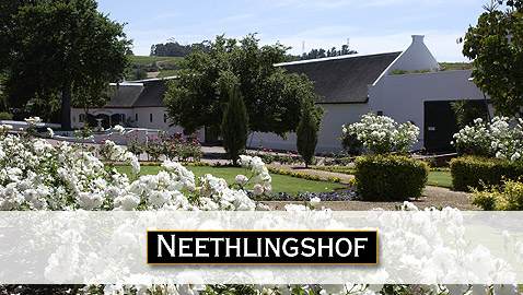 South African Wine - Neethlingshof