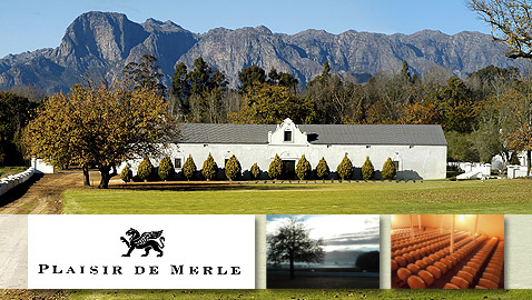 South African Wine - Plaisir de Merle