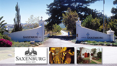 South African Wine - Saxenburg